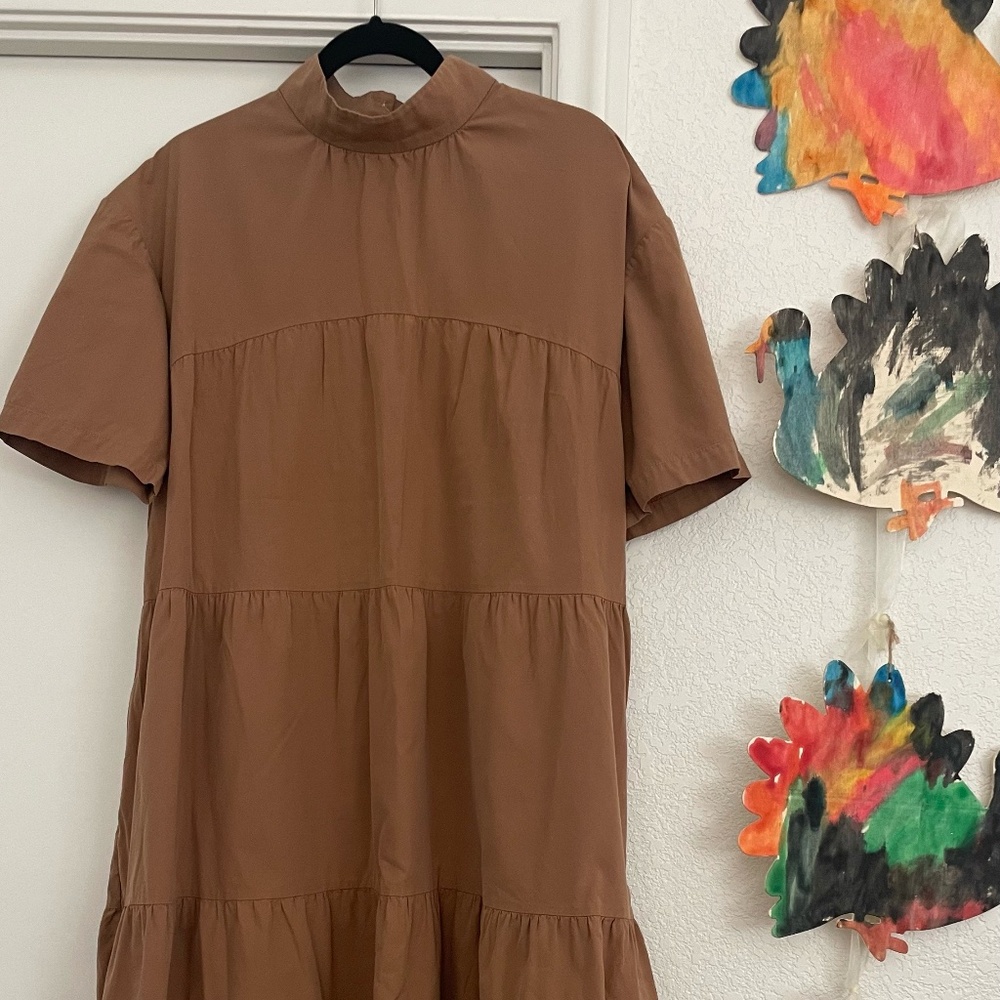 Everlane.  mock neck.  100% cotton.  cinnamon/tan/brown color.  Very cool.
